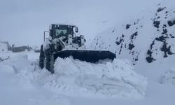 Şırnak'ta kar esareti: Beyaz örtü yarım metreyi geçti