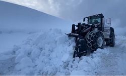 Şırnak'ta karla mücadele çalışmaları: Tünellerle yollar açılıyor