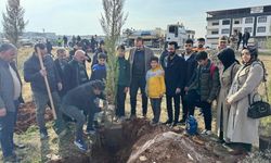 Sur olaylarında şehit düşen kolluk kuvvetleri için Diyarbakır'da fidan dikildi
