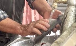 Malatya'da En Çok Hangi Balık Tüketiliyor?