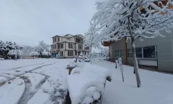 Malatya'da kışın en büyük tehlikesi