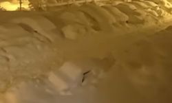 Çelikhan Beyaza Gömüldü: Evler ve Araçlar Karın Altında Kaldı