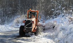 181 köy yolu açıldı, 365'inde çalışmalar sürüyor