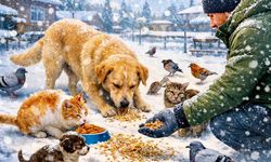 Malatya İHH’den Can Dostlara Destek Çağrısı