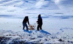 Doğanşehir'de Yürek Isıtan Görüntüler: Kar Altında Aç Kalan Hayvanlar Unutulmadı!