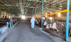 Malatya’da Hayvancılık Yapanlar Dikkat:Kritik Değişiklik!