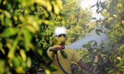 5 soruda tarımda 'B-Reçete' uygulaması