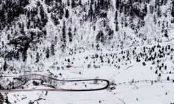 Çam Ağaçları Karla Kaplandı, Ortaya Kartpostallık Görüntüler Çıktı