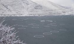 Kar ve Buzun Buluştuğu Nokta: Yüzen Adalar