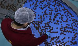 Devlet desteğiyle kurduğu fabrikada günde 100 bin paket glütensiz gıda üretiyor