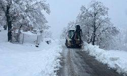 Doğanşehir'de karla mücadele çalışmaları devam ediyor
