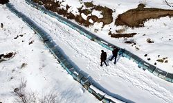 Elazığ’da 1170 Arıcıya 371 Ton Şeker Desteği