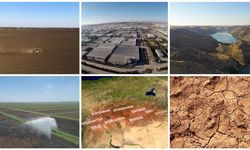 GAP’ta Yeni Dönem: Her İlçeye Özel Kalkınma Modeli