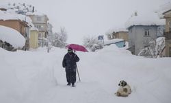Kışın çetin geçtiği Tunceli Ovacık'ta kar yağışı yöre sakinlerini sevindirdi