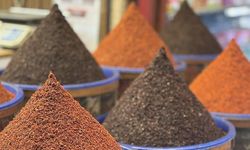 Pul Biber Dünya Mutfağında: Avrupa İlk Sırada