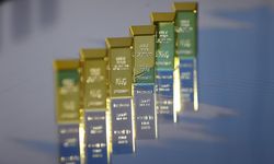 TÜİK Verileriyle 2025’in Şampiyonu: Külçe Altın