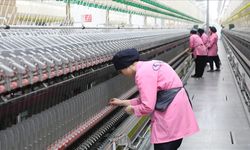 Türkiye'de kadınların iş gücüne katılımını artırmak için yeni adımlar yolda