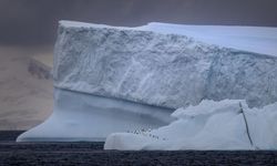 Türkiye'nin kutuplardaki ayak izi 10 yaşında