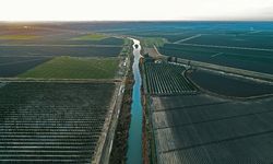 Yağışlar Tarımı Nasıl Etkileyecek? Bölge Bölge Son Durum