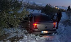 Adıyaman'da otomobil şarampole girdi: 2 yaralı