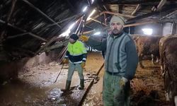 Ahırın çatısı yağan karın ağırlığını taşıyamadı, hayvanlar komşuların yardımıyla kurtarıldı