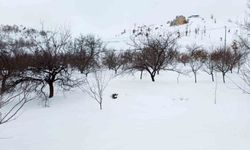 Akçadağ'da kar kalınlığı 1 metreye yaklaştı