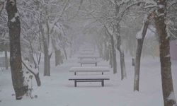 Besni'de kar yağışı ilçeyi beyaza bürüdü