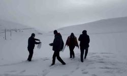 Darende'de öğretmen ve öğrenciler yaban hayvanlarını unutmadı