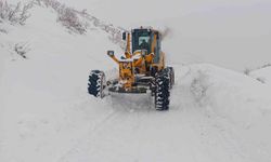 Diyarbakır'da, 6 ilçede 319 kilometrelik kırsal mahalle yolu ulaşıma açıldı