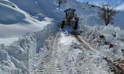 Diyarbakır'da kapalı yolların açılması için çalışmalar sürüyor
