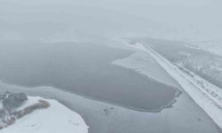 Elazığ'da Cip Baraj Gölü'nün bazı kısımları buz tuttu