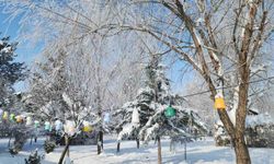 Elazığ'da dondurucu soğuklar: Karakoçan'da termometreler -22'yi gösterdi