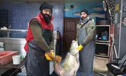 Elazığ'da Tuttukları 78 kilogram ağırlığındaki balığı iki kişi zor taşıdı