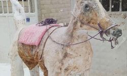 En güzel kardan adam seçildi