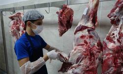 Gaziantep'te öğrenciler günde 12 bin kişiye yemek hazırlıyor