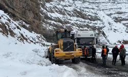 İpek yolunda tır kuyruğu: Hakkari Şırnak karayolunda yüzlerce tır mahsur kaldı
