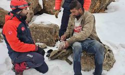 Kar ve tipi altında mahsur kalan çoban kurtarıldı