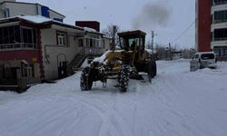 Karakoçan'da karla mücadele çalışmaları sürüyor
