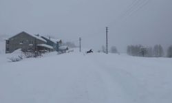 Karın tadını çıkarmak için İstanbul'dan Sivas'a akın ettiler