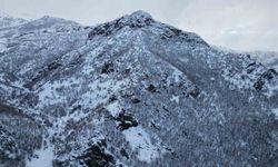 Karla birlikte meşe ormanı beyaza büründü