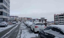 Kulp beyaza büründü