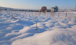 Kulp'ta kar yağışı çiftçiye umut oldu
