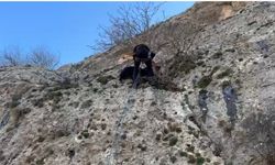 Mardin'de dağda mahsur kalan keçiyi AFAD ekipleri kurtardı