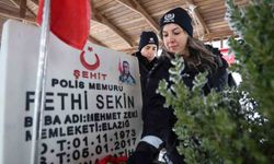 Şehit Fethi Sekin kabri başında anıldı