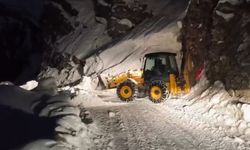 Siirt Pervari'de çığ düşen yol ulaşıma açıldı