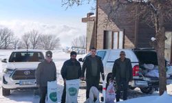 Siirt'te yaban hayvanları için doğaya yem bırakıldı