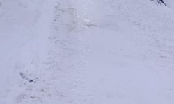 Sivas'ta 850'e yakın köy yolu araç ulaşımına kapandı