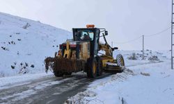 Sivas'ta 91 yerleşim yerinin yolu ulaşıma kapalı
