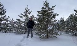 Sivas’ta Soğuk Rekoru: Buz Gibi Derede Yüzen Vatandaş Şaşırttı