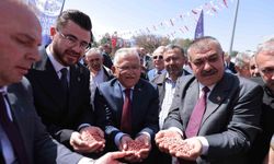 Üreticilere 1 yılda 12 milyon TL'lik tohum dağıtıldı